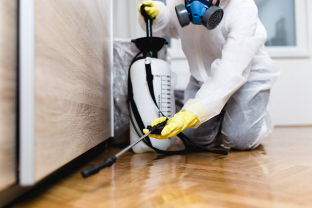 Reliable Lakewood Park, TN Pest Control Solutions