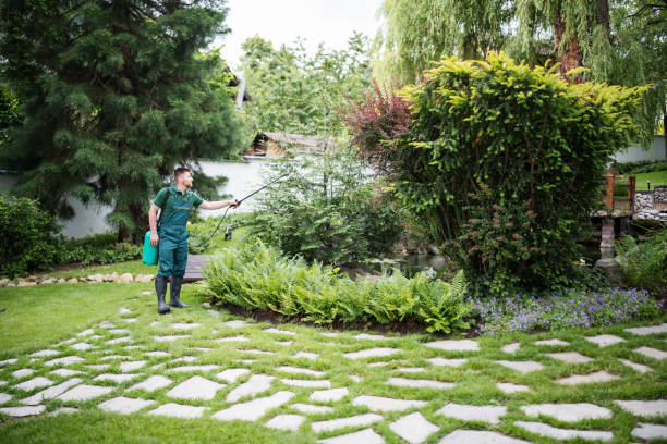 Best Local Pest Control Services  in Lakewood Park, TN