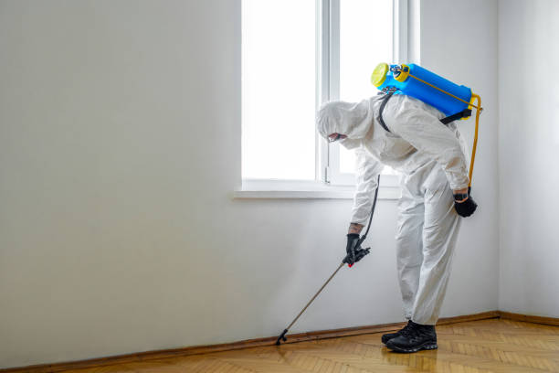 Best Best Pest Control Companies  in Lakewood Park, TN
