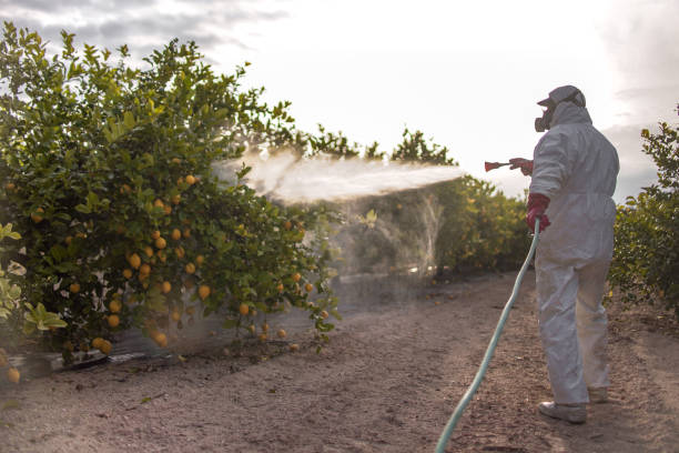 Best Emergency Pest Control  in Lakewood Park, TN
