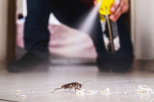 Best Mosquito Control Services  in Lakewood Park, TN