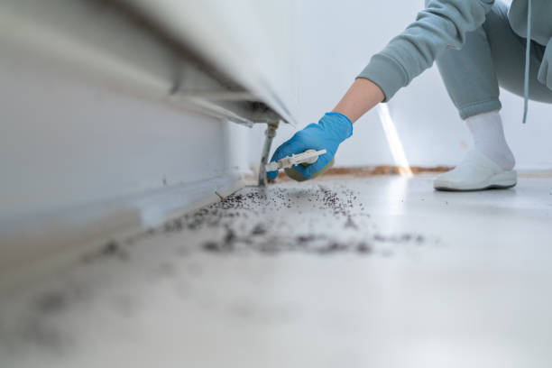 Best Pest Control Treatment  in Lakewood Park, TN