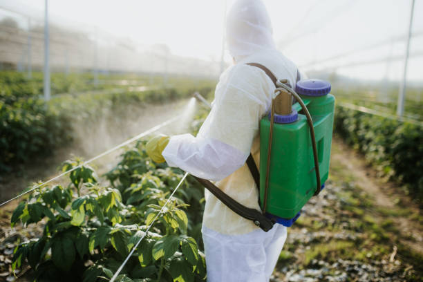 Best Best Pest Control Near Me  in Lakewood Park, TN